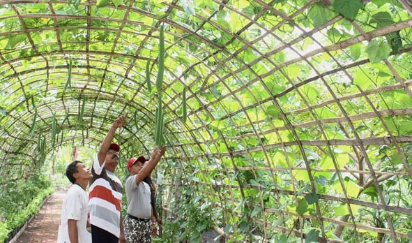 Perlombaan Kampung Bantar, Setiap RT menyiapkan lokasi pemanfaatan pekarangan untuk dijadikan lingkungan hijau.